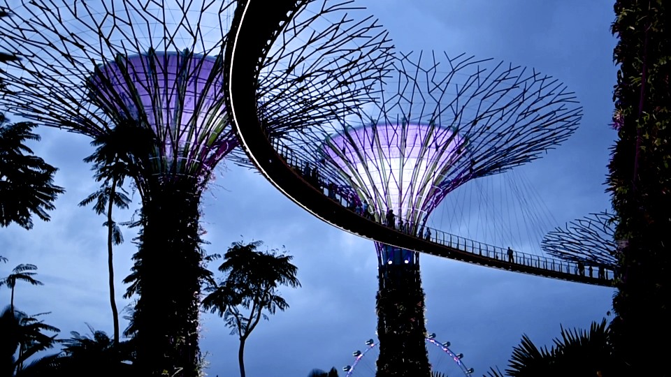 4 cafés à Singapour - singapour, cafes-restos, cafes, asie, a-faire 4 cafés à Singapour - singapour, cafes-restos, cafes, asie, a-faire