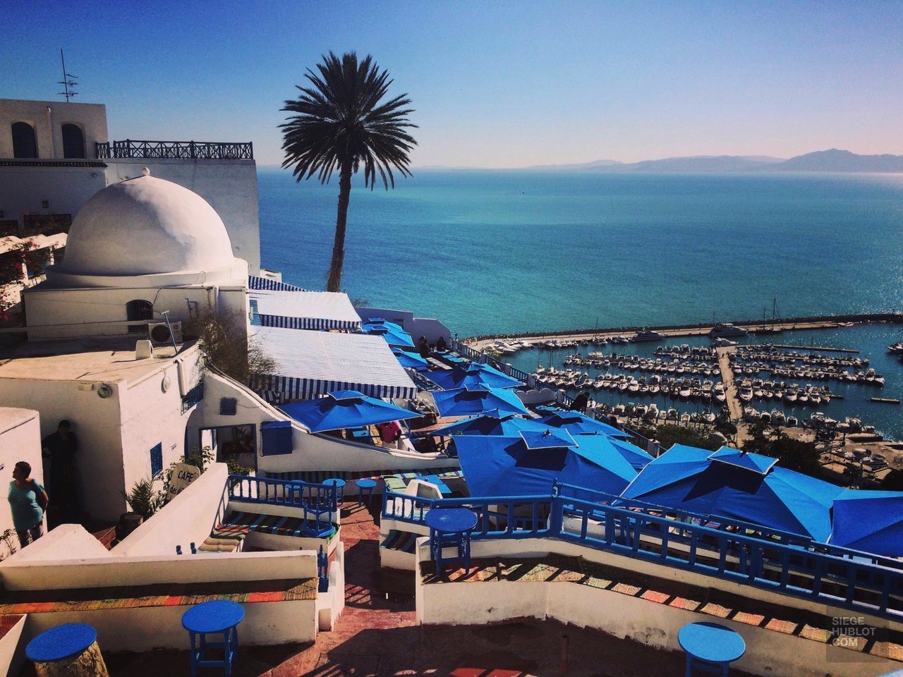 sidi bou said mer café des délices - Tunisie, de la mer au désert - Afrique, Tunisie