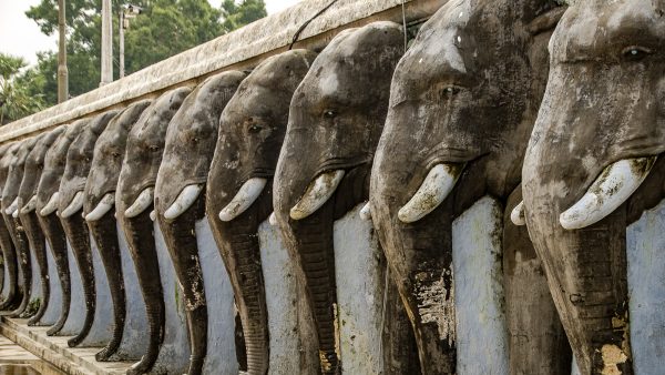 statuts elephants - vieilles cites, temples et monasteres - Sri Lanka, au cœur de l ile - Asie, Sri Lanka