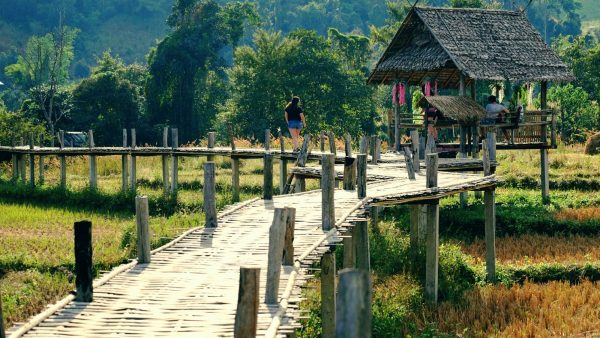 Des paysages fabuleux - Pai et la fraicheur des montagnes - Asie, Thaïlande