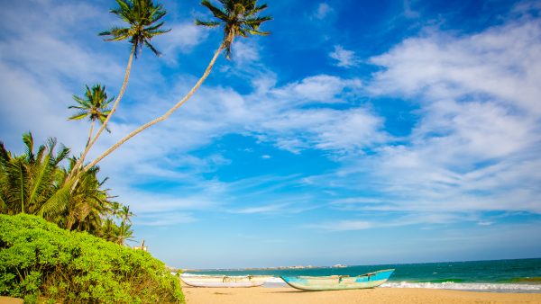 plage palmiers bateaux - La cote sauvage de Tangalle - Les plages du Sri Lanka et plus encore - Asie, Sri Lanka